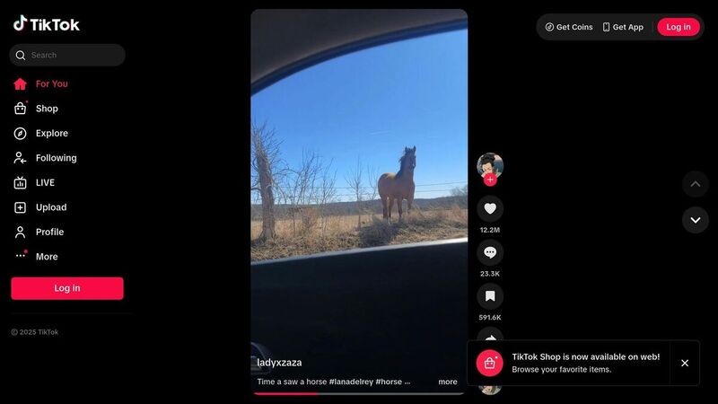 TikTok